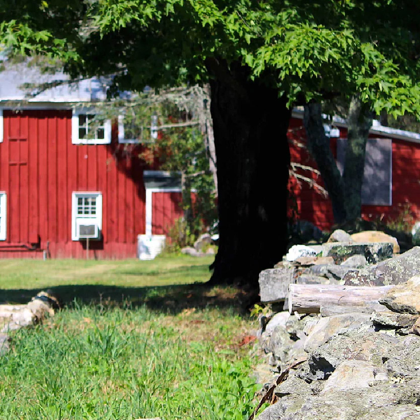 The CurrantC™ Farm: A Haven for Exceptional Black Currants